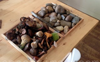 陈美华：中秋节的蘑菇和石头！