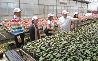 驻巴拉圭使节参观台湾花卉中心