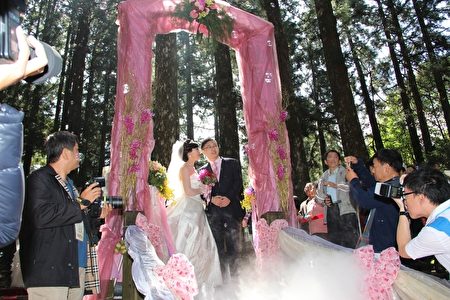 阿里山神木下婚礼山海恋 大纪元