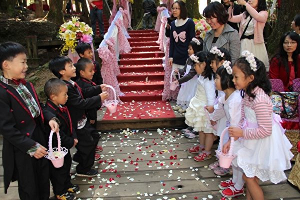 阿里山神木下婚礼山海恋 大纪元