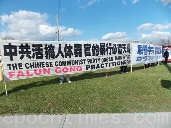 10月21日下午,在加拿大多伦多华人聚集的“太古广场”绿草坪上,举行了“声援1亿2千6百万三退大潮”的真相长城,和讲真相劝三退活动。(大纪元) 10月21日下午,在加拿大多伦多华人聚集的“太古广场”绿草坪上,举行了“声援1亿2千6百万三退大潮”的真相长城,和讲真相劝三退活动。(大纪元)