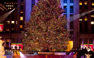 世界最著名圣诞树今年来自新泽西