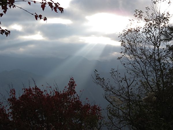 阿里山日出曙光。(攝影:李擷瓔/大紀元檔案圖片) 阿里山日出曙光。(攝影:李擷瓔/大紀元檔案圖片)