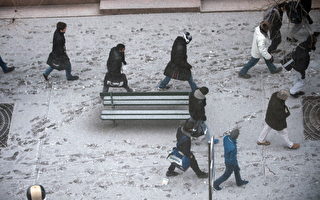 巴黎与居民要分工扫雪