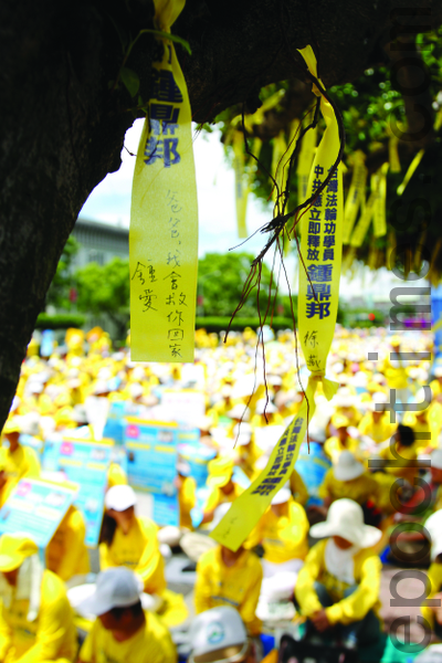 7.23在凱達格蘭大道樹上繫上千條黃絲帶,呼籲總統馬英九緊急營救鍾鼎邦。(攝影:丹尼爾/大紀元) 7.23在凱達格蘭大道樹上繫上千條黃絲帶,呼籲總統馬英九緊急營救鍾鼎邦。(攝影:丹尼爾/大紀元)
