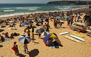 悉尼邦岱海滨疑现鲨鱼 数千游客搁浅沙滩