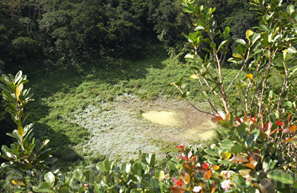 死火山口(Trou aux Cerf)位于模里西斯的中部丘比镇。该火山口保存得相当完好,约85公尺深,直径200公尺。(摄影:戴德蔓/大纪元) 死火山口(Trou aux Cerf)位于模里西斯的中部丘比镇。该火山口保存得相当完好,约85公尺深,直径200公尺。(摄影:戴德蔓/大纪元)