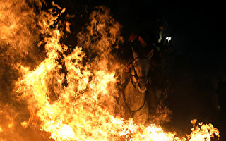 組圖：西班牙騎手跨越烈火 慶祝聖安東尼奧節