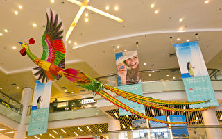 组图：香港百鸟朝凤巨型风筝迎 新年