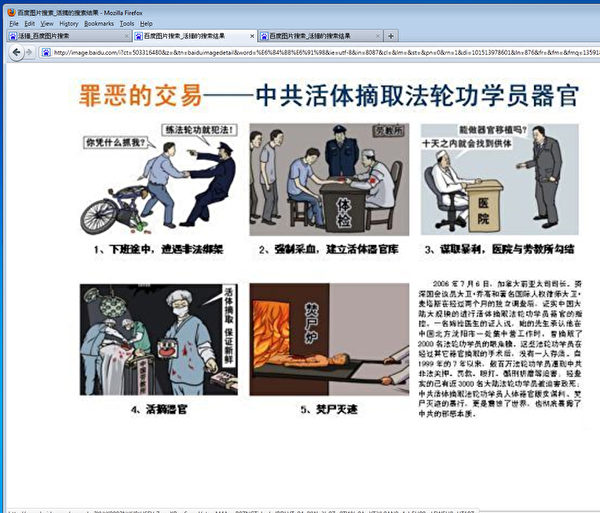 百度上搜索出现大量中共活摘法轮功学员器官真相图片。(网路截图) 百度上搜索出现大量中共活摘法轮功学员器官真相图片。(网路截图)