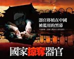 掩藏在伪造“中国死刑犯器官证书”背后的黑幕
