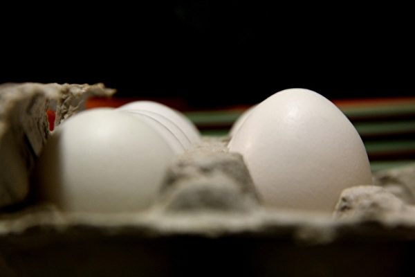雞蛋egg(攝影:ALEX/大紀元) 雞蛋egg(ALEX/大紀元)