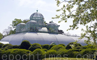 组图：比利时王室花园对公众开放（一）