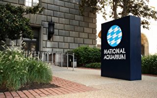 D.C.國家水族館將關閉