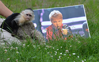 组图：贾斯汀·比伯宠物猴遭遗弃后重获德国“家庭”温暖