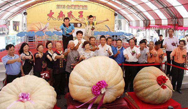 2013台湾重量级大南瓜王竞赛29日在苗栗县登场,吸引11县市瓜农较劲,最后由苗栗县头份镇徐沧浩的731斤大南瓜(中)称王。 (主办单位提供) 2013台湾重量级大南瓜王竞赛29日在苗栗县登场,吸引11县市瓜农较劲,最后由苗栗县头份镇徐沧浩的731斤大南瓜(中)称王。 (主办单位提供)