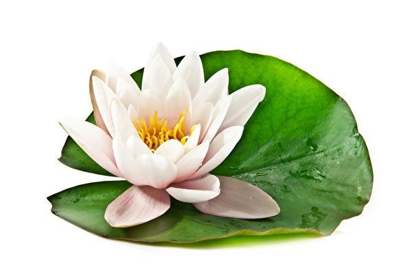 (Fotolia) (Fotolia)