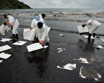 泰國PTT全球化學公司因海底輸油管破裂，導致沙美島普勞海灘遭原油汙染。圖為石油公司派遣人力在現場清理油汙。（Nicolas ASFOURI/AFP）