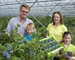 比利時Schrijnwerkers藍莓園 享受採摘樂趣