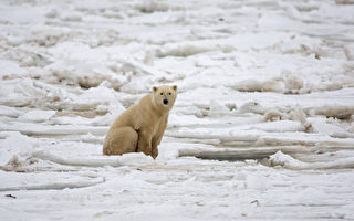 2012名列史上最熱前十名 北極冰融創紀錄