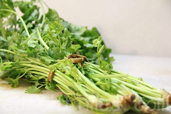 新鲜芫荽Cilantro (coriander)(摄影：ALEX/大纪元)