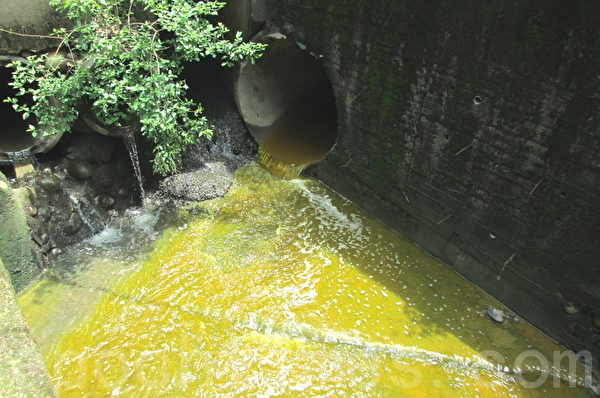 遭到硬铬电镀厂强酸废水污染的溪水(大纪元)