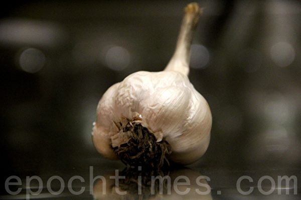 蒜头garlic(摄影：ALEX/大纪元)
