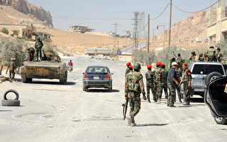 叙利亚反抗军攻下近首都古城