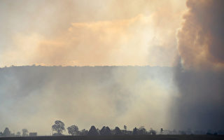 当局调查悉尼山火原因 疑烧荒失控所致