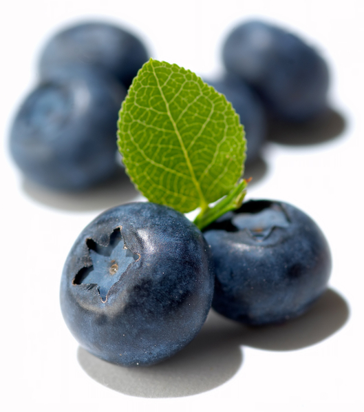 (Tomo Jesenicnik/Fotolia) (Tomo Jesenicnik/Fotolia)