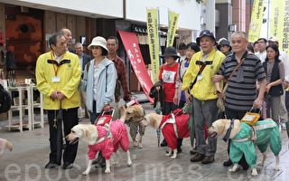 日本广岛狮子会连续三年举行导盲犬支援活动