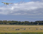 组图：野生动物天堂 肯尼亚安博塞利公园