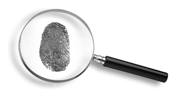 指纹(摄影:James Steidl/Fotolia) 指纹(摄影:James Steidl/Fotolia)