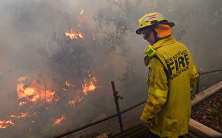 紐省開始對藍山山火起因展開調查