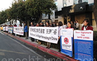 人权日 洛杉矶抗议中共活摘器官
