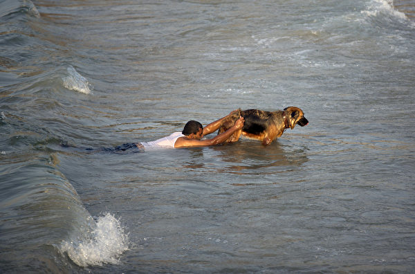 救人如救火 － 11月6日，在加沙城海灘海邊，一名巴勒斯坦人教他的狗如何救助海難的人。（MOHAMMED ABED／AFP）

