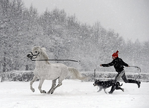 脫韁野馬 － 2月7日，波蘭華沙附近一位女孩與她的狗和小馬在雪地奔跑。（JANEK SKARZYNSKI／AFP）


