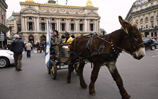 今日巴黎：时光倒流 用驴载垃圾 促环保