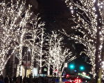 東京丸之內 點燈迎新年