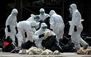 外媒：新型禽流感致一死一病 跟H7N9同源