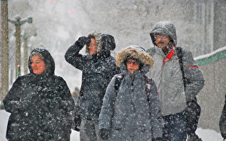 【渥太華2·17】最多天氣警報 本市全國稱冠