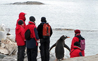 南极出现破纪录高温 首度突破摄氏20度