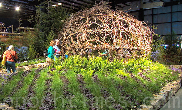 舊金山花卉園藝展耐旱植物作品眾多。(周克/大紀元) 舊金山花卉園藝展耐旱植物作品眾多。(周克/大紀元)