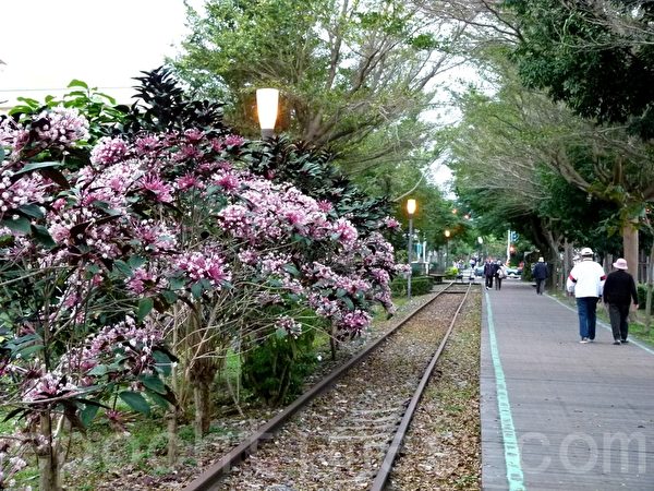 台东旧铁道路廊是一条温馨有特色的休闲步道。(龙芳/大纪元) 台东旧铁道路廊是一条温馨有特色的休闲步道。(龙芳/大纪元)