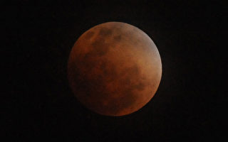 “血月”现身比利时夜空 明年可见全景