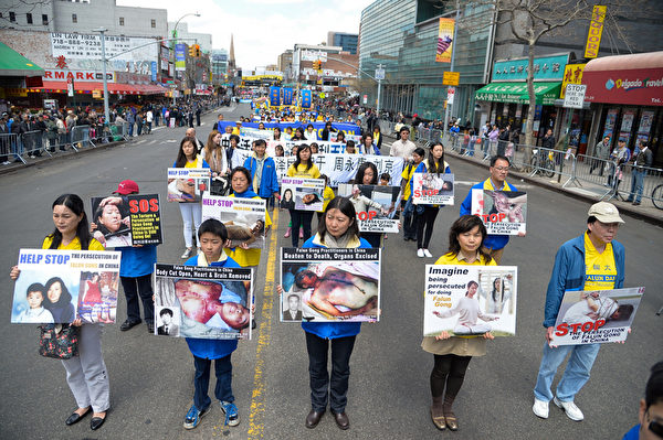 2014年4月26日,紐約法拉盛,上千名法輪功學員舉行了一場聲勢浩大的遊行和集會。圖為在大陸被迫害致死的法輪功學員受虐的圖片。(戴兵/大紀元) 2014年4月26日,紐約法拉盛,上千名法輪功學員舉行了一場聲勢浩大的遊行和集會。圖為在大陸被迫害致死的法輪功學員受虐的圖片。(戴兵/大紀元)