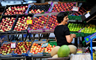 澳昆省参议员提议将消费税扩至新鲜食品