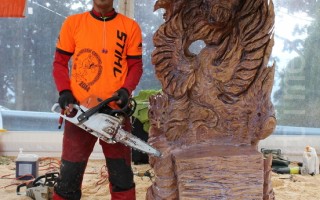 首届澳洲电锯木雕大奖赛日本艺术家拔头筹