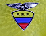 2014世界杯足球赛厄瓜多尔国家队队徽 （RODRIGO BUENDIA／AFP）