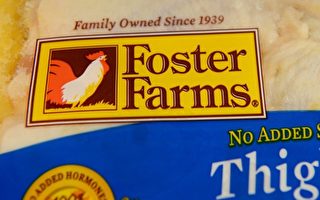 染沙门氏菌 美国加州家禽公司宣布召回产品